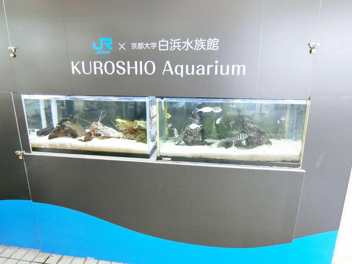 Minshuku Inn Shirahama Ekinoyado Exteriér fotografie